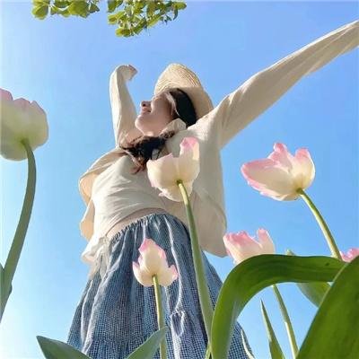 寅次郎的故事31 旅行、女伴和寅次郎